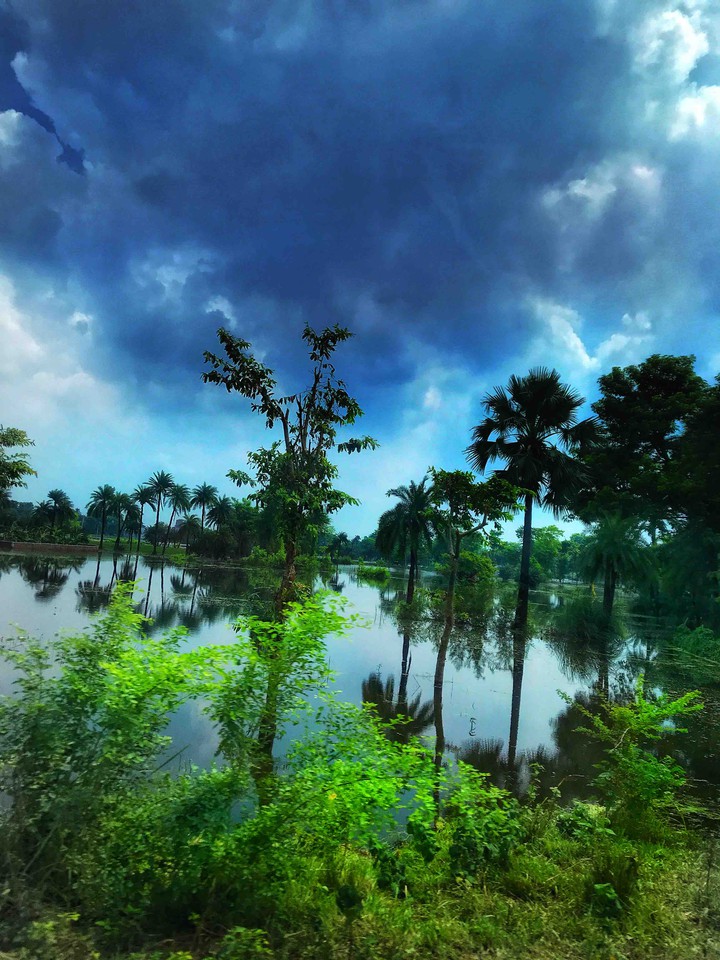 nature glimpses