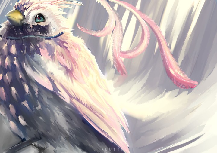 bird
