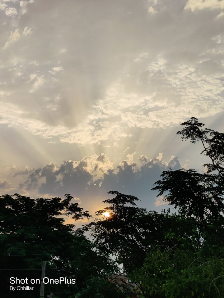 good morning