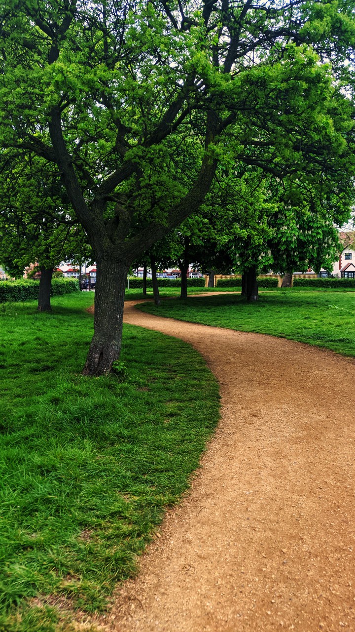 park