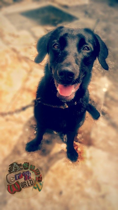 little beasty beast....