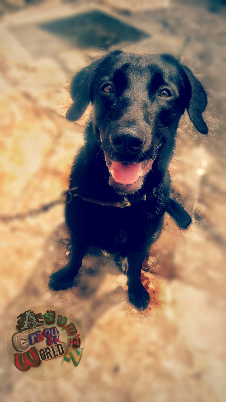 little beasty beast....