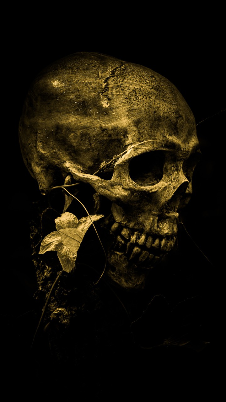 Skull Art