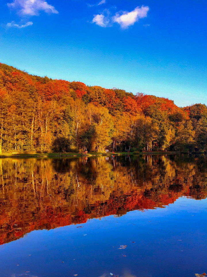 el reflejo del agua