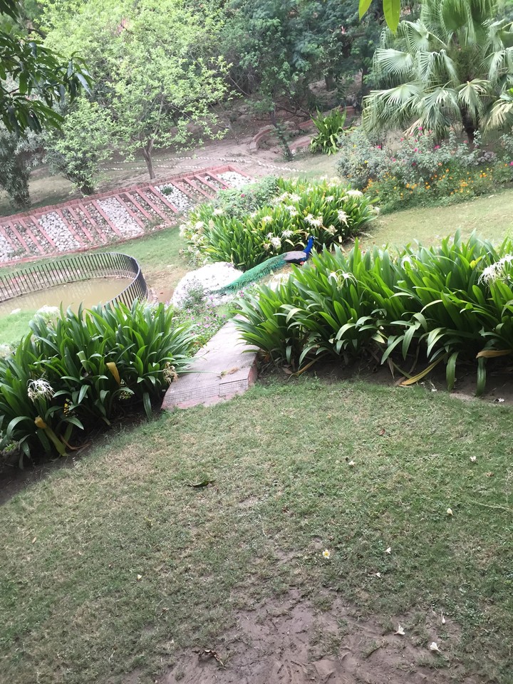 Manoram Sathal