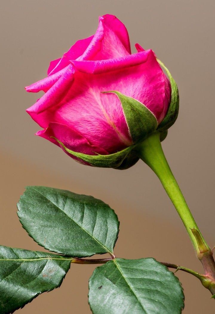 ♡♡