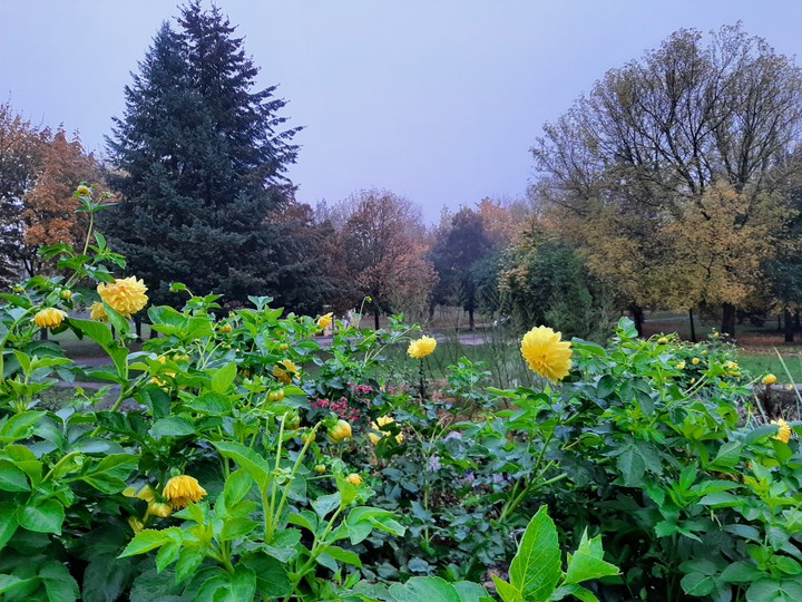 November morning