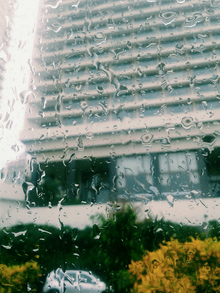 picture taken by me