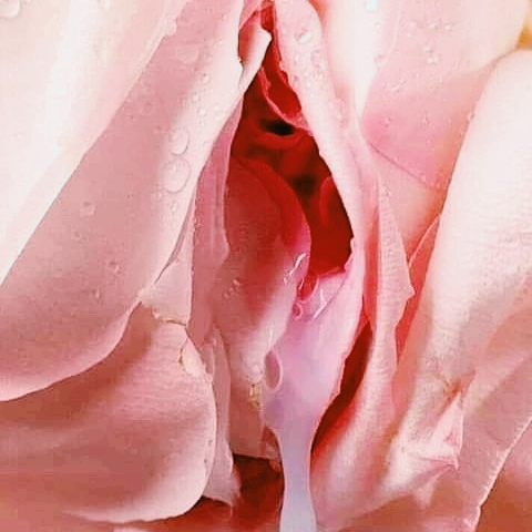 Woman Flower