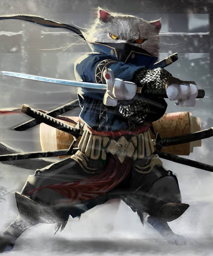samurai life