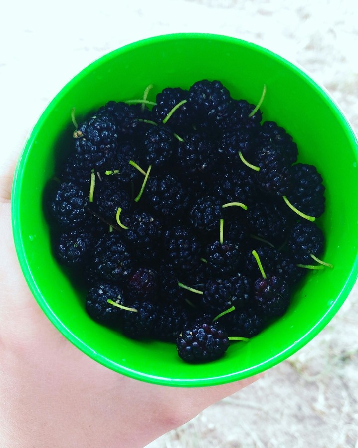 strawberries