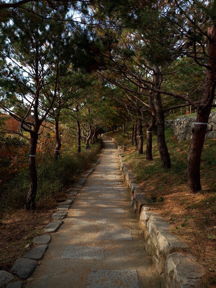 trail