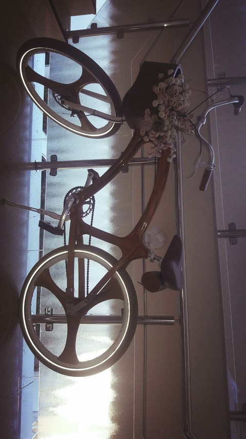 Flowers and Bicycles