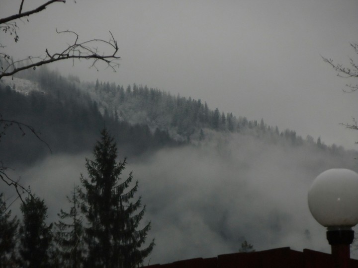 winter