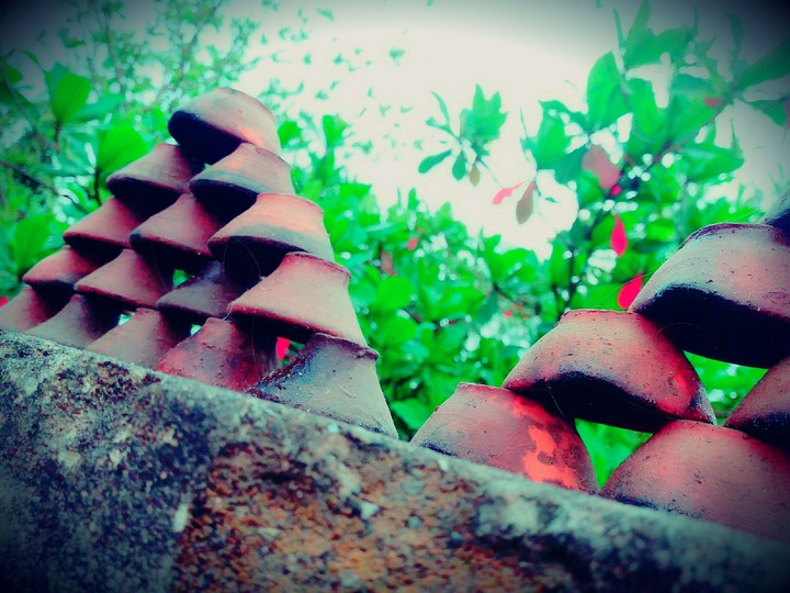 ADphotography