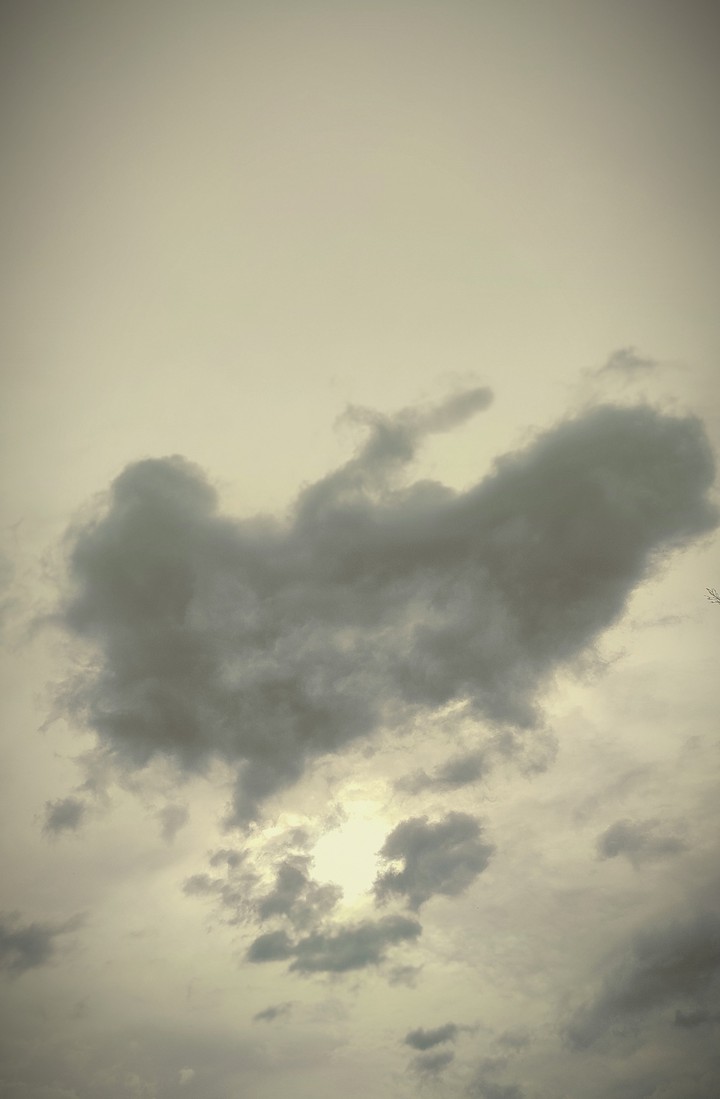 random click..ᐠ( ᐛ )ᐟ
