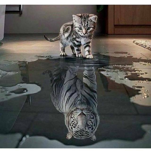 We are what we think who we are.