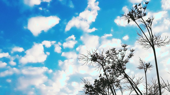 Give me sky to fly