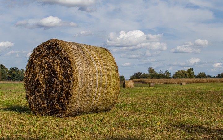 Vibe in field