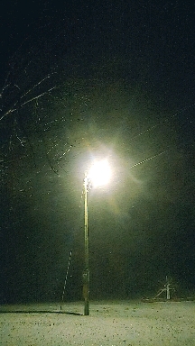 Snowing 2022