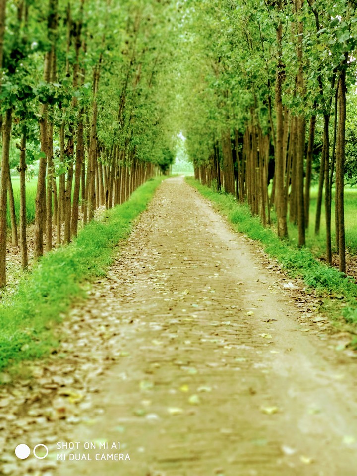 mere gaon ka photo