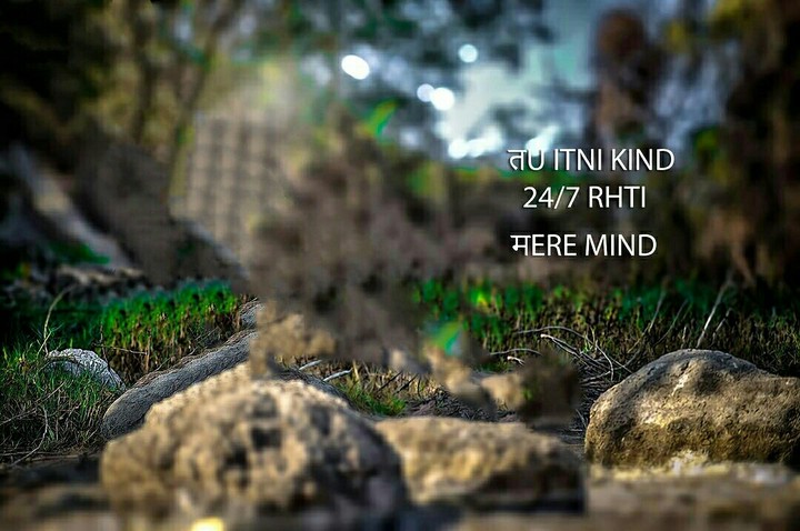 background picture