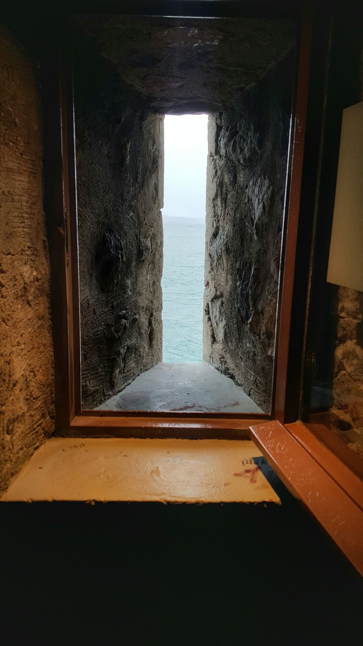 Window