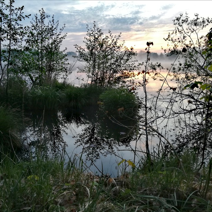Morgenrot