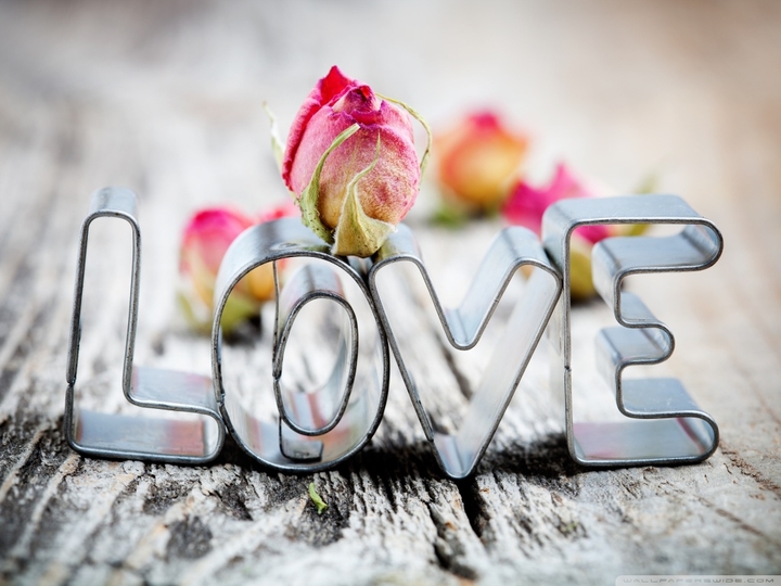 love