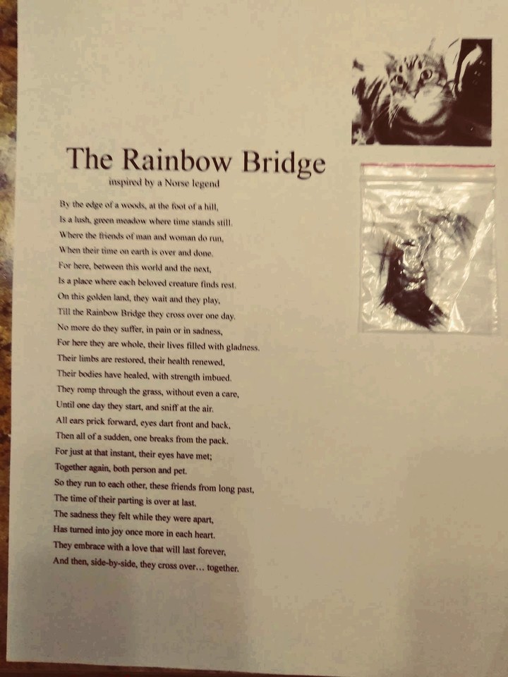 Ode to Gracie