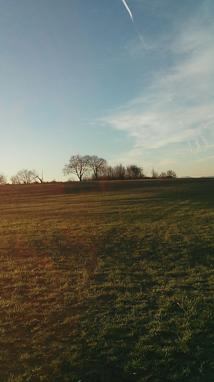 Field