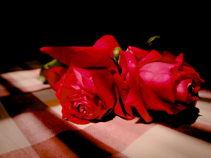 colour of love