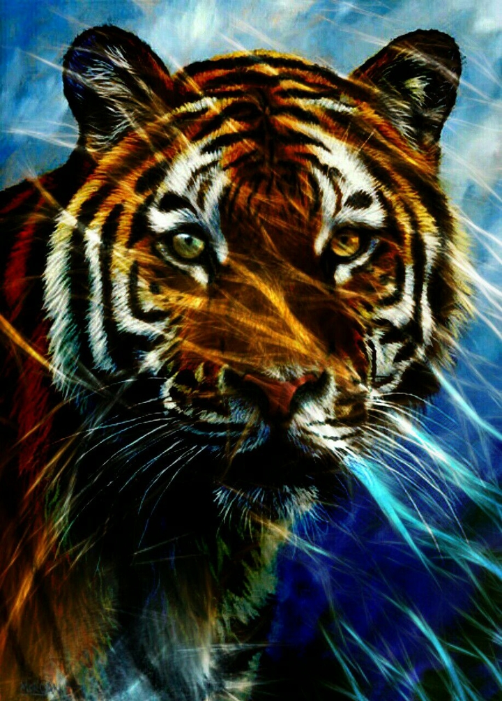tiger stripes