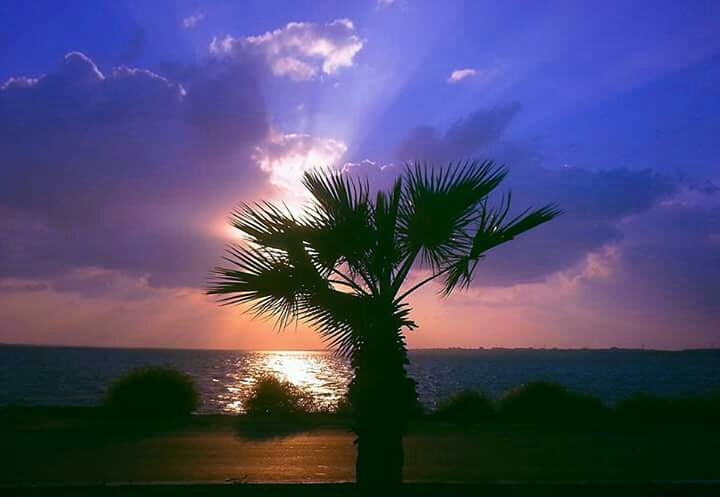 November sun