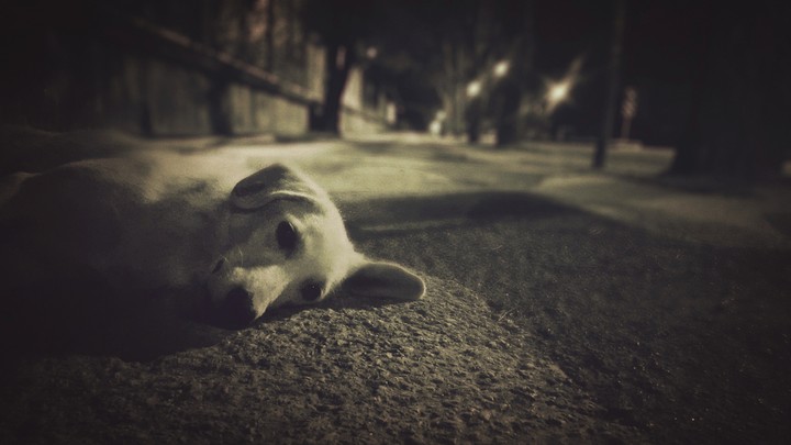 Umutsuz :(