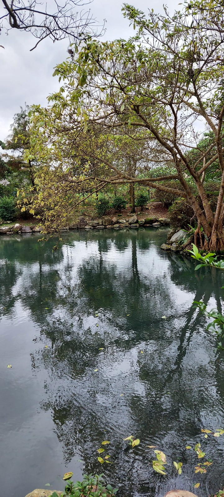 Lake