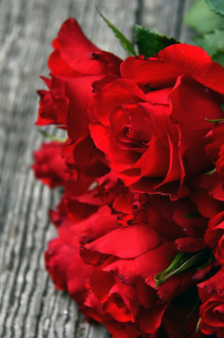 roses...##