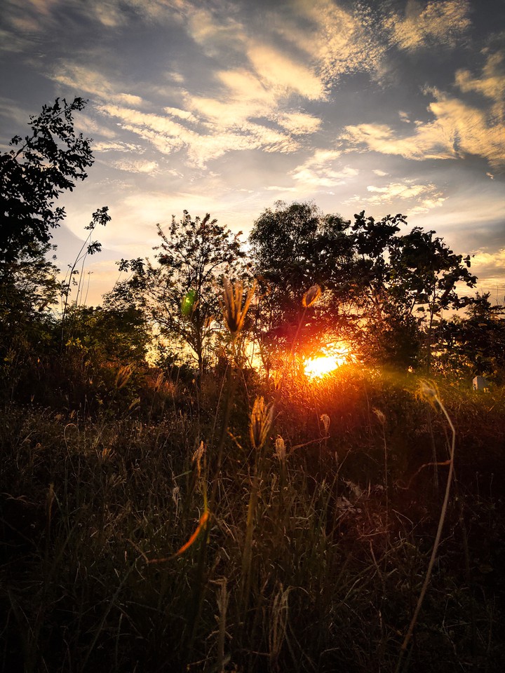 Yellow afternoon
