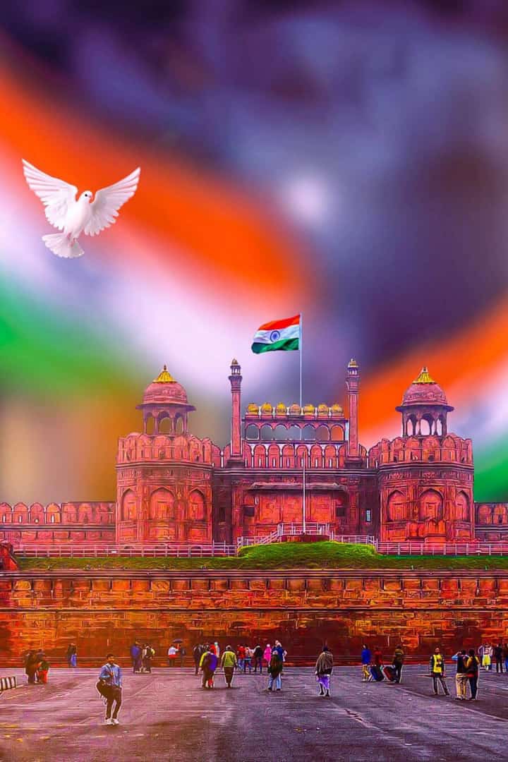 ???? Happy Independence Day ????