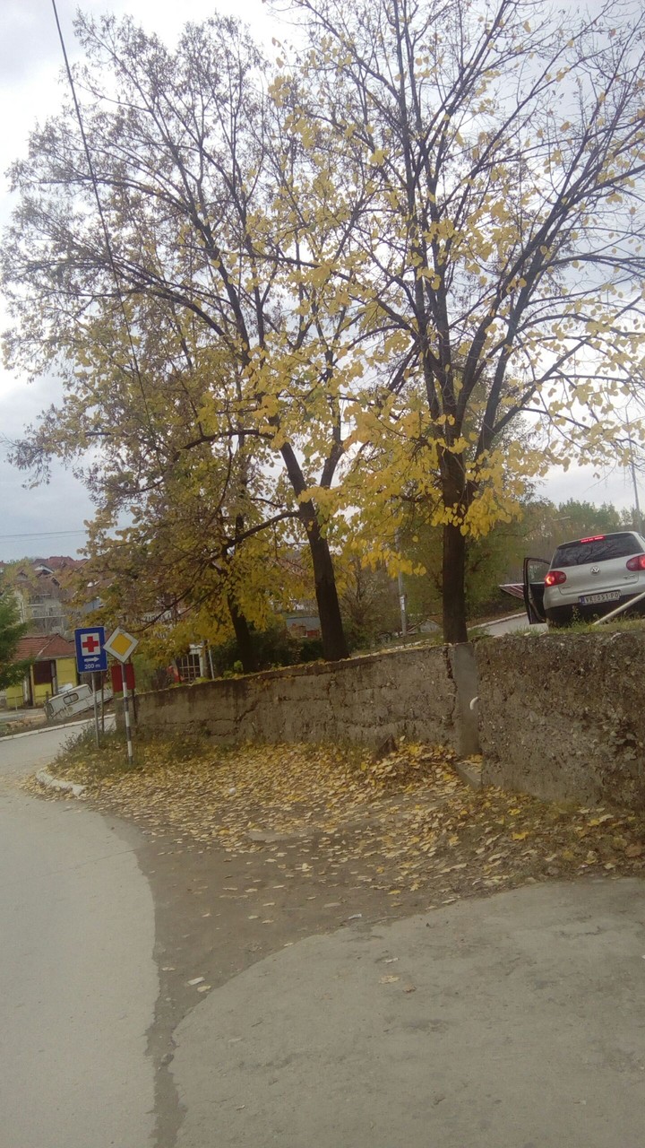 autumn