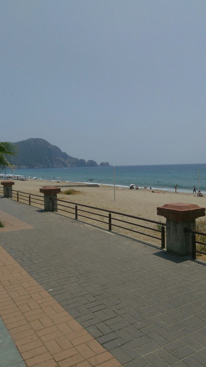 Holiday