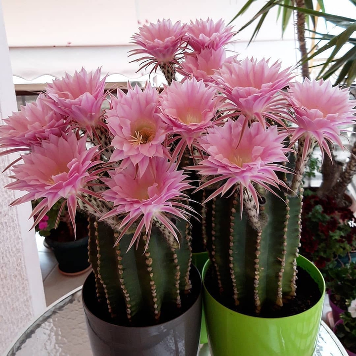 ❤