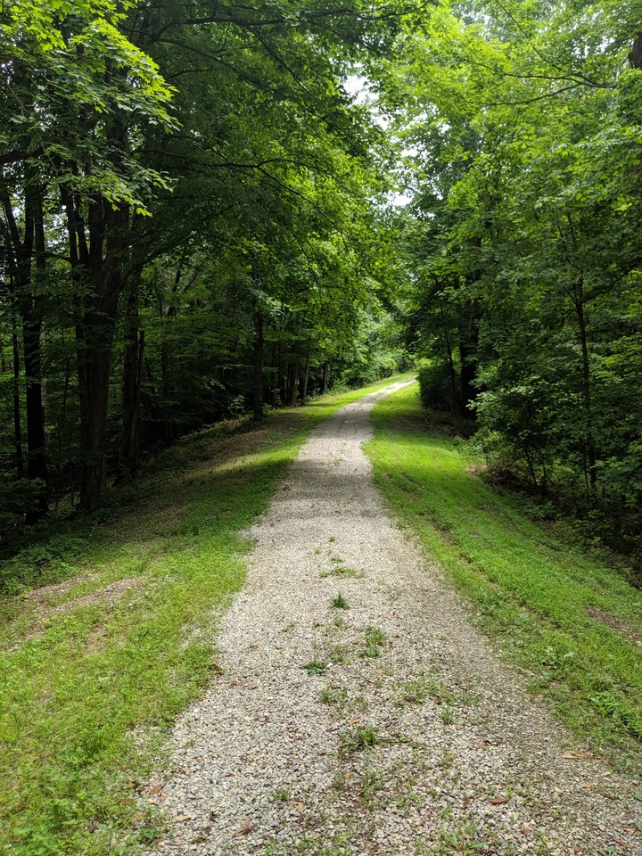 walkway home