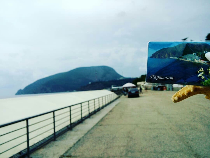 Партенит
