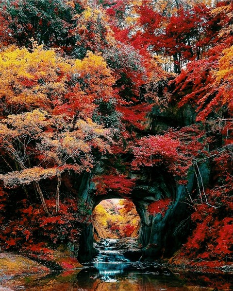 japan