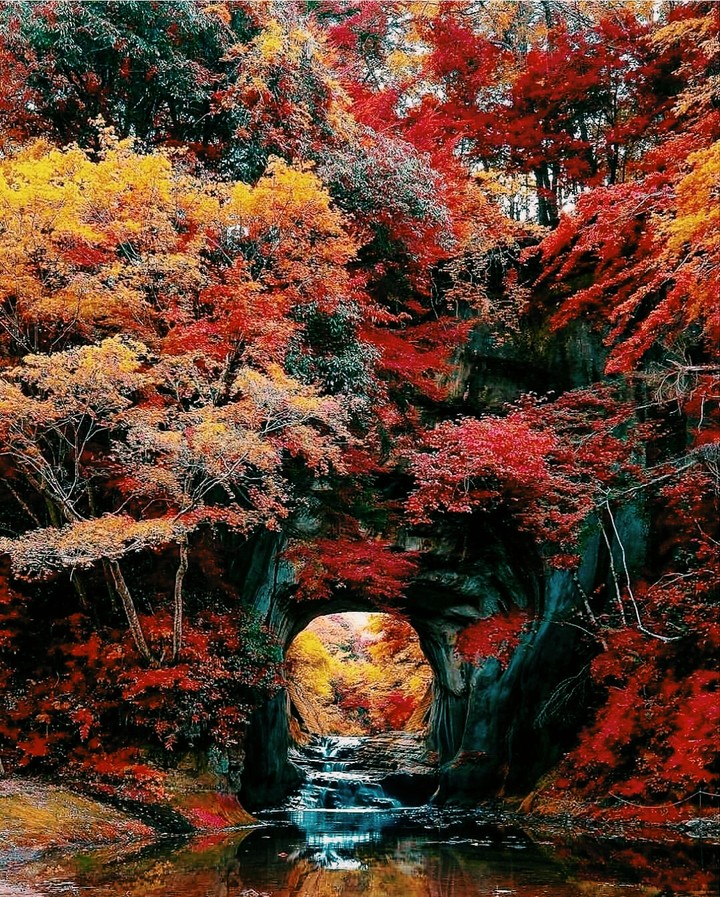 japan