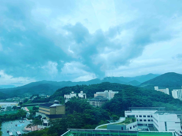 신선의 놀이터 직장