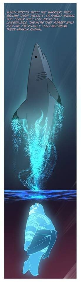 Fin, organism duvar kağıtları