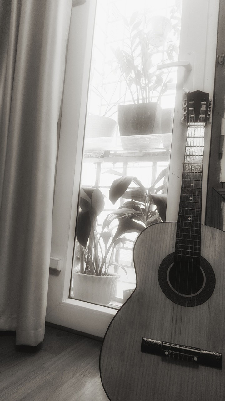 guitar