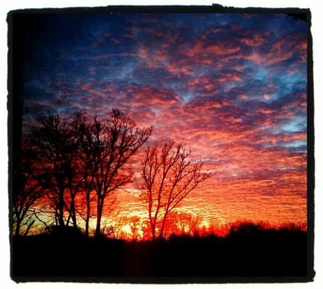 Winter Sunrise